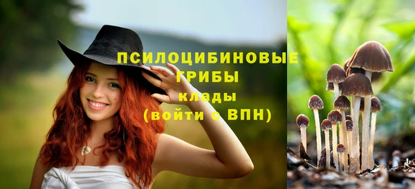 соль ск Белокуриха
